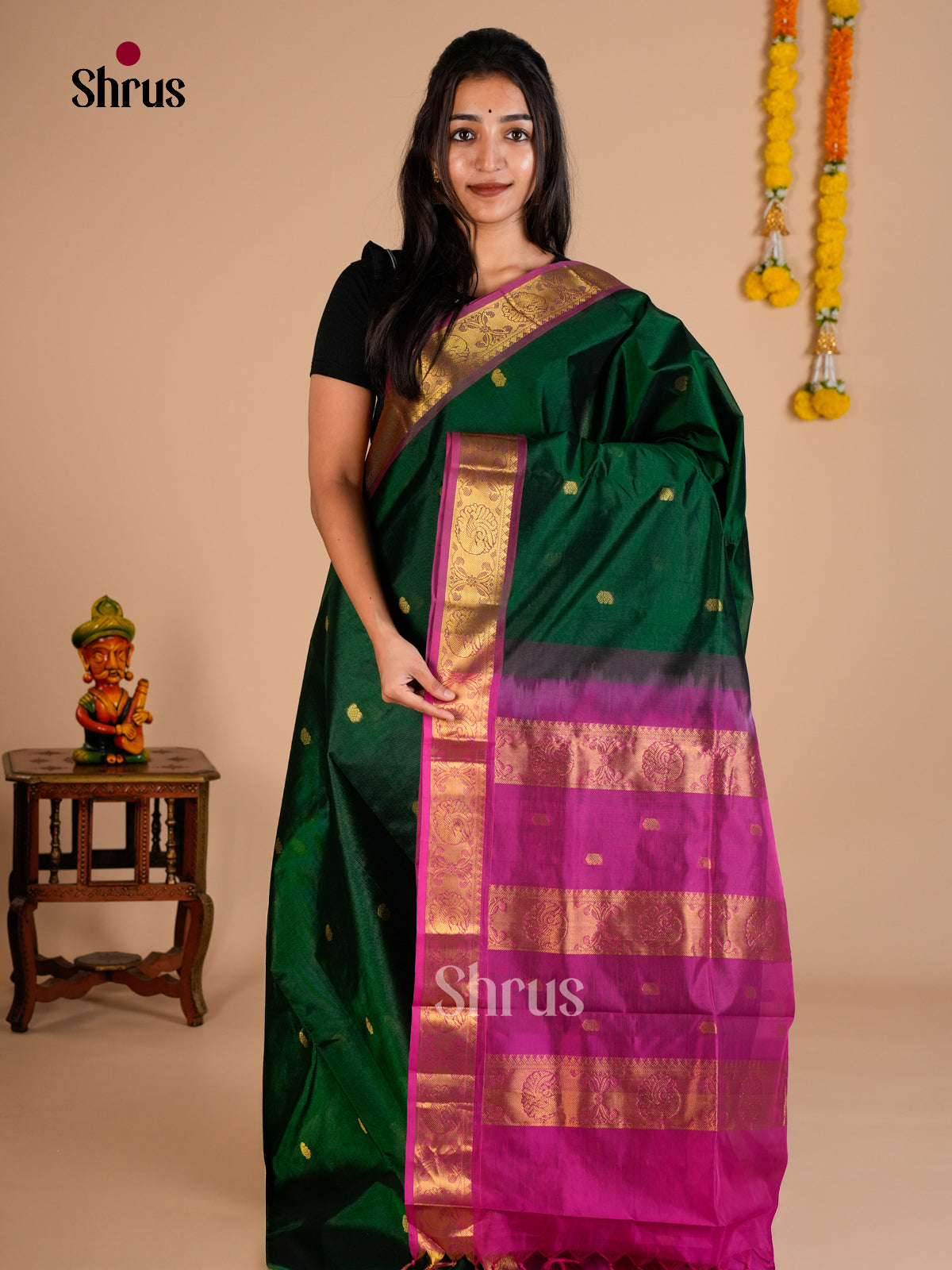 Silk Cotton Saree - EDS10119 - Shop on Shrus.com