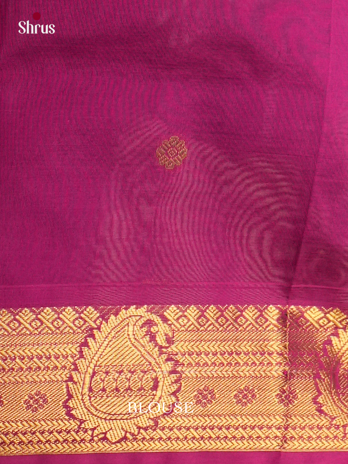 Silk Cotton Saree - EDS10120 - Shop on Shrus.com