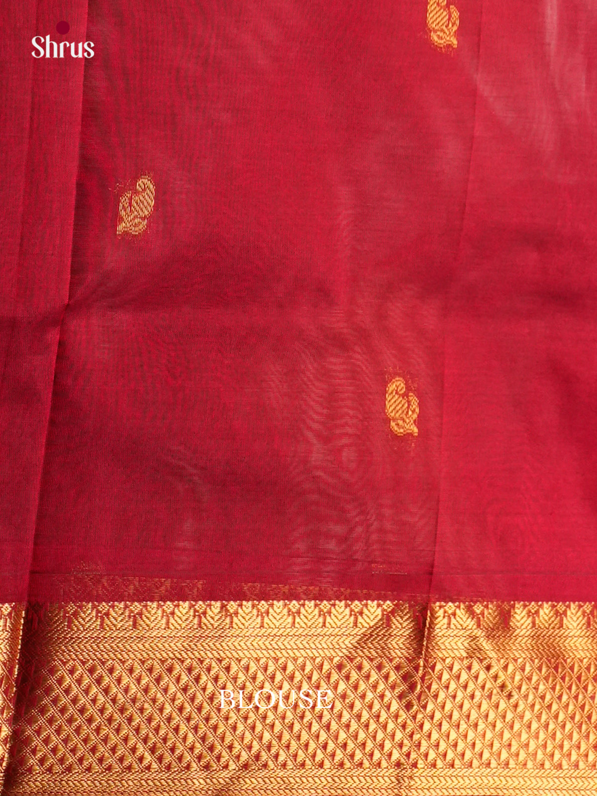Silk Cotton Saree - EDS10121 - Shop on Shrus.com