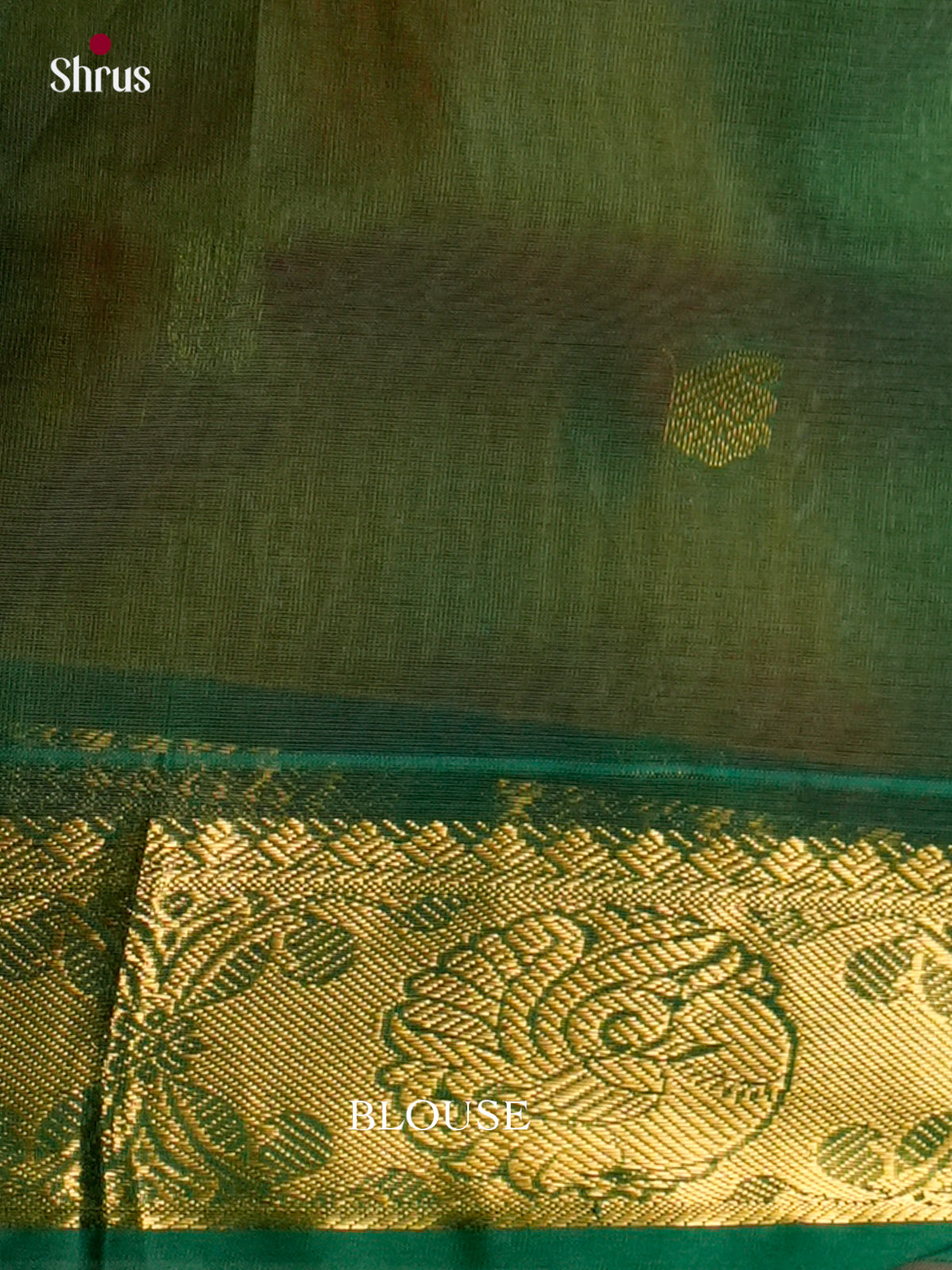 Silk Cotton Saree - EDS10129 - Shop on Shrus.com