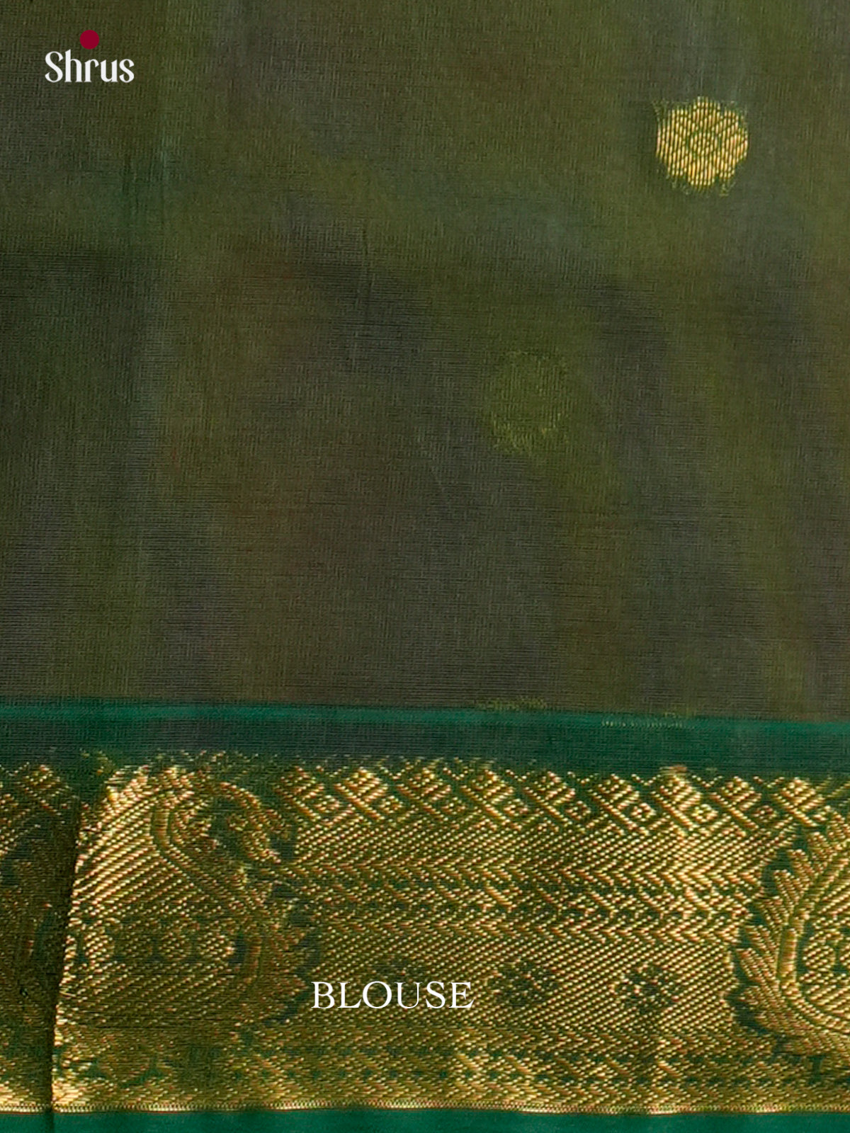 Silk Cotton Saree - EDS10134 - Shop on Shrus.com