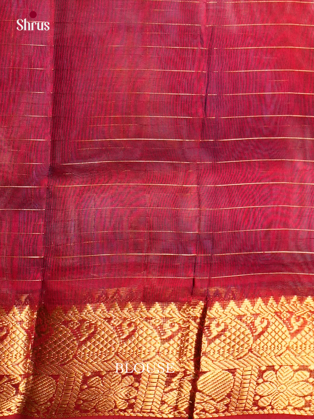 Silk Cotton Saree - EDS10144 - Shop on Shrus.com