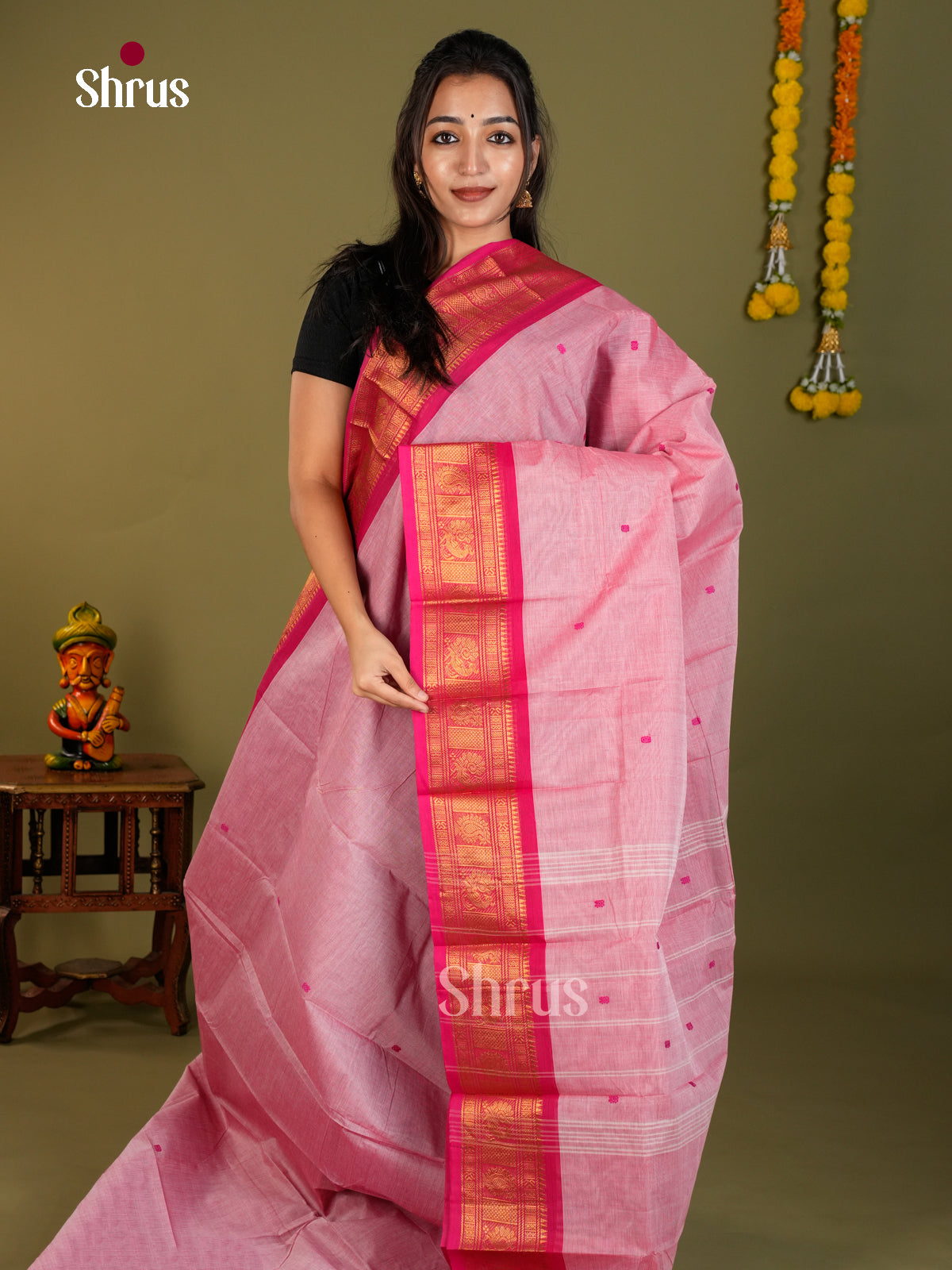 Chettinad Cotton Saree - EDS13012 - Shop on Shrus.com