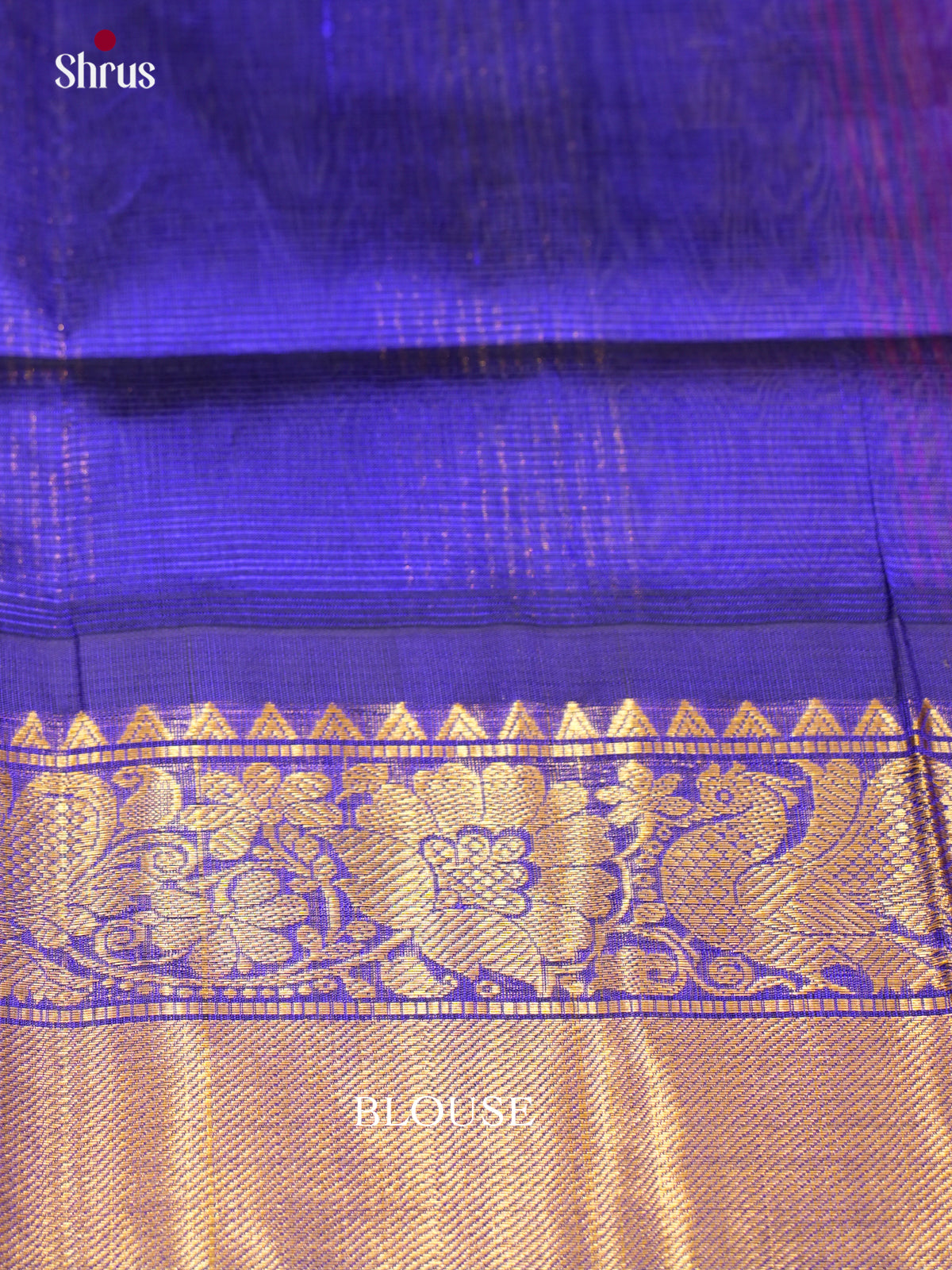 Silk Cotton Saree - EDS29002 - Shop on Shrus.com