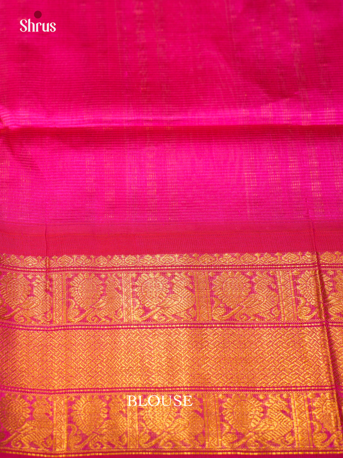 Silk Cotton Saree - EDS29003 - Shop on Shrus.com