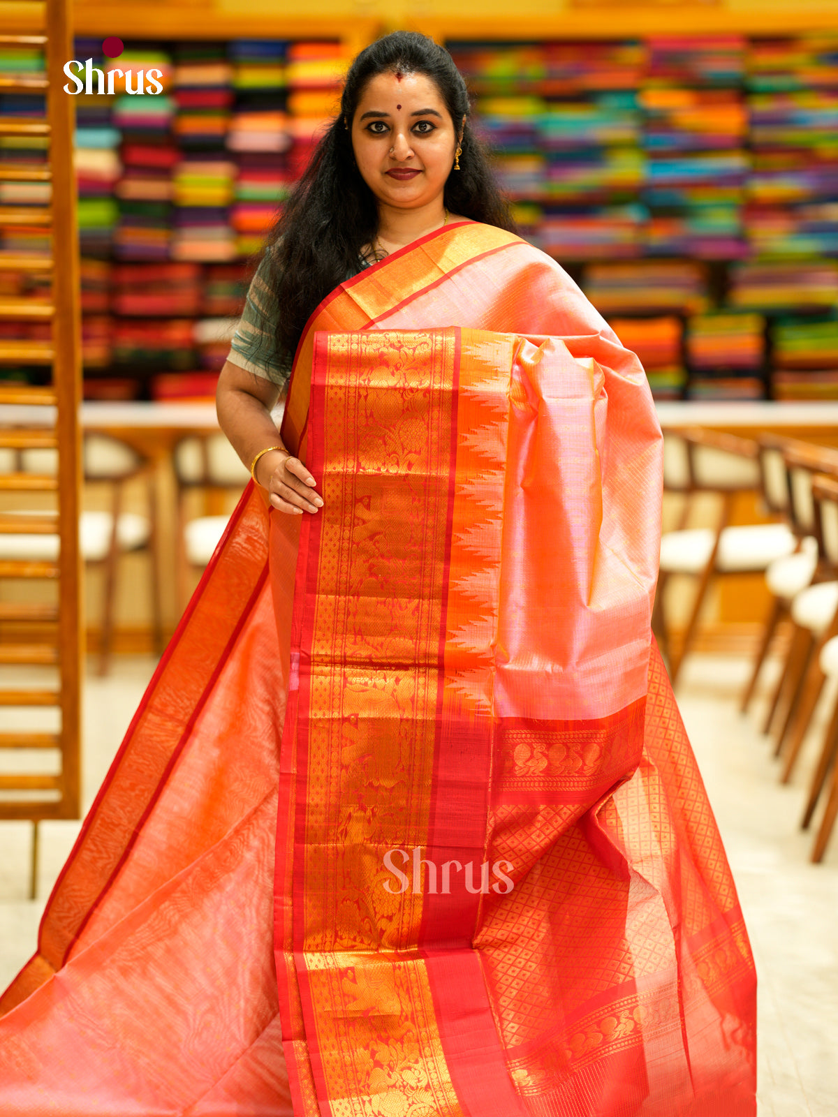 Silk Cotton Saree - EDS29006 - Shop on Shrus.com