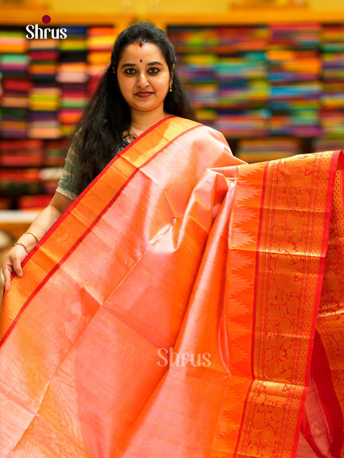 Silk Cotton Saree - EDS29006 - Shop on Shrus.com