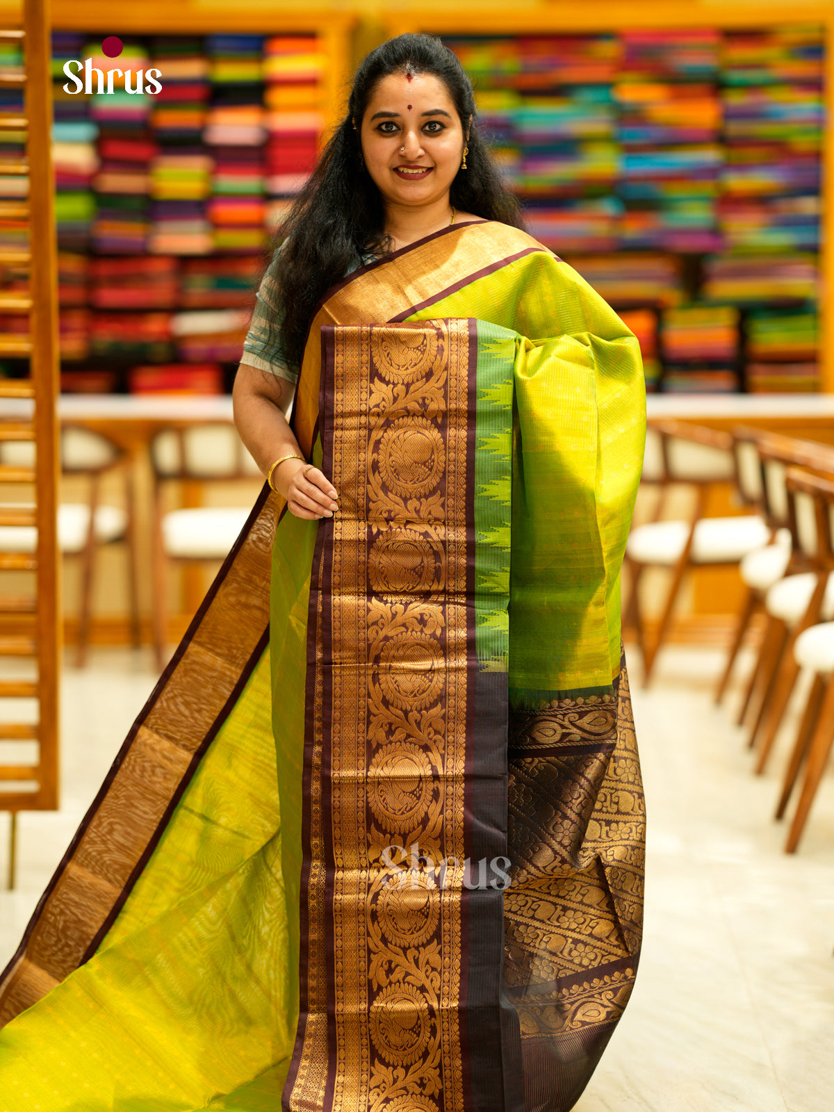 Silk Cotton Saree - EDS29007 - Shop on Shrus.com