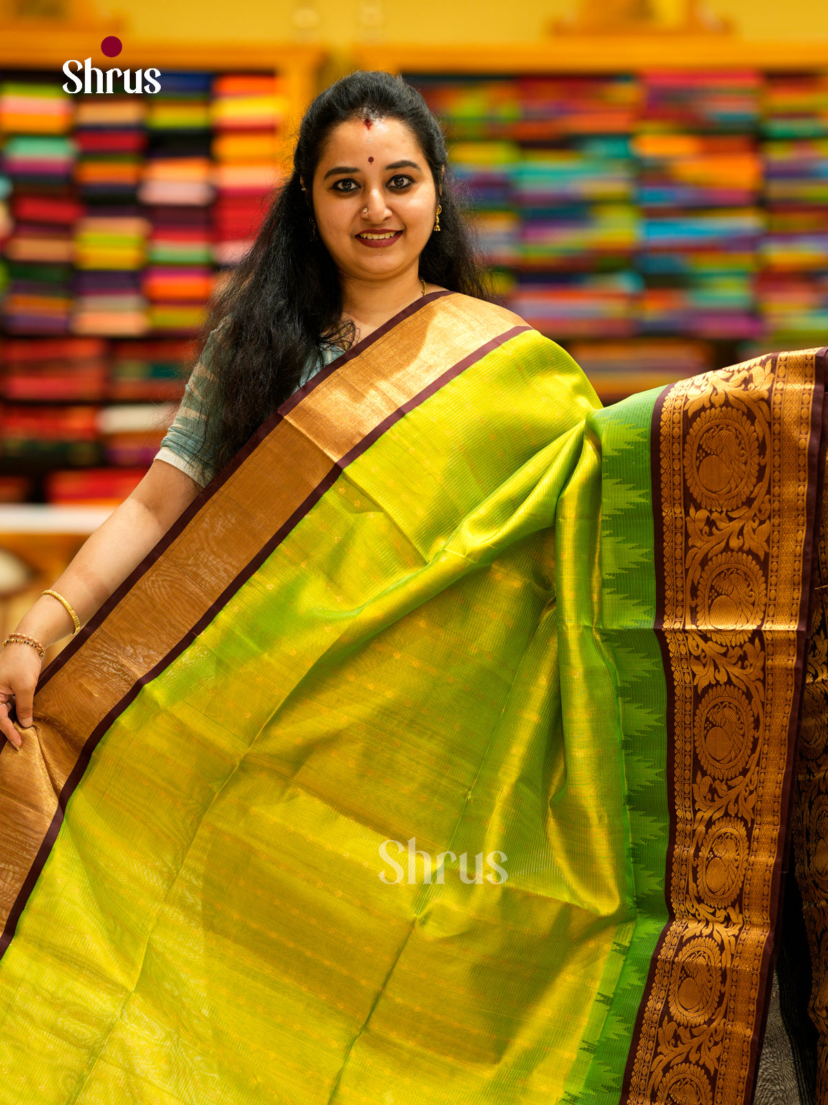 Silk Cotton Saree - EDS29007 - Shop on Shrus.com