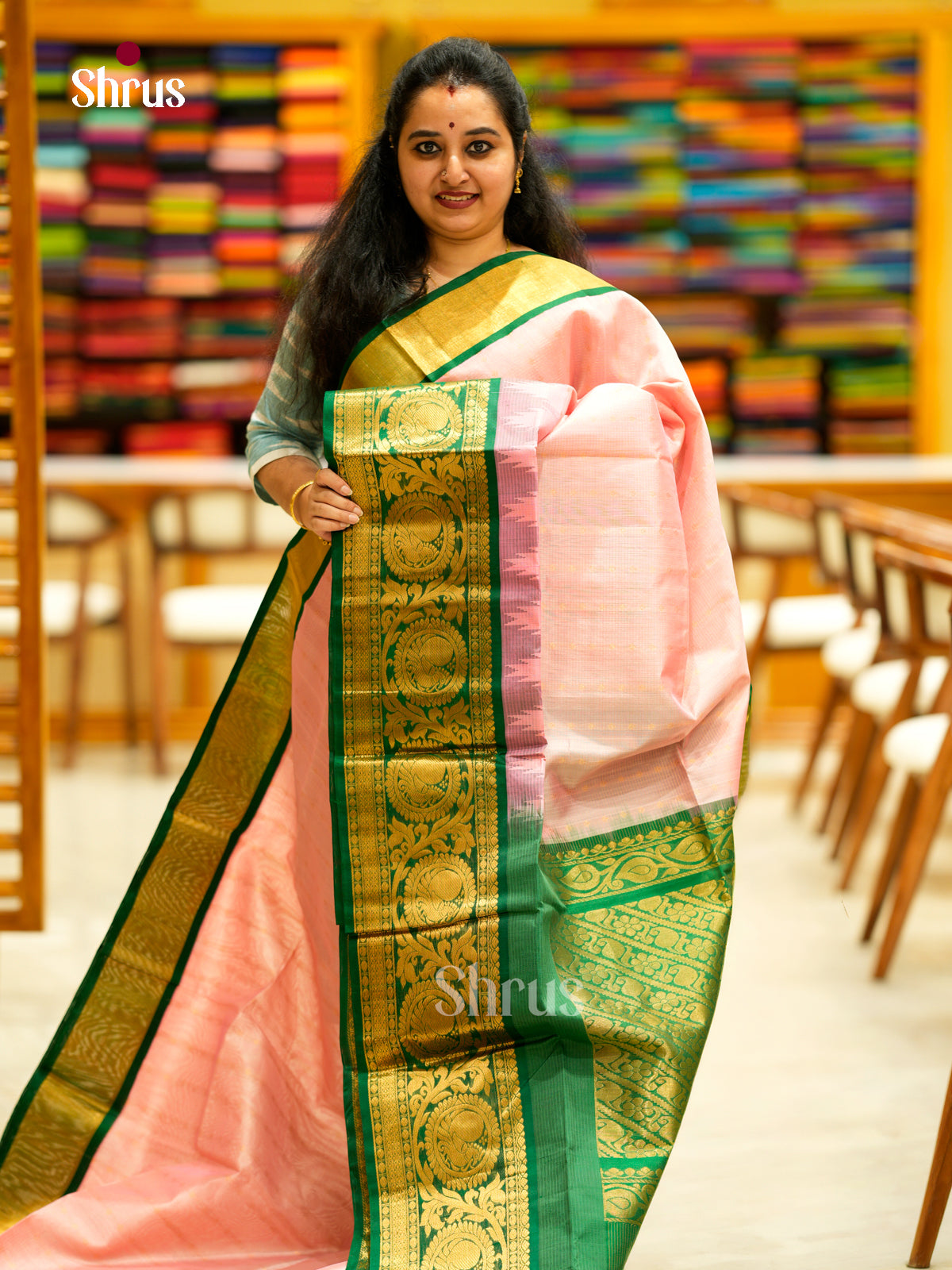 Silk Cotton Saree - EDS29008 - Shop on Shrus.com