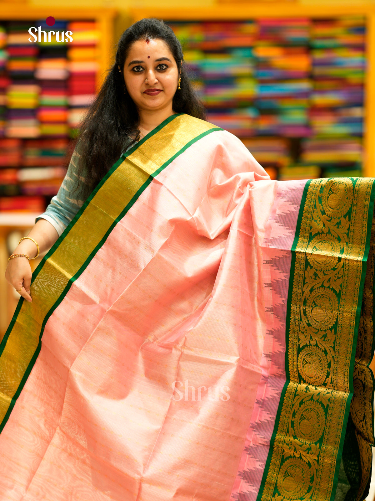 Silk Cotton Saree - EDS29008 - Shop on Shrus.com