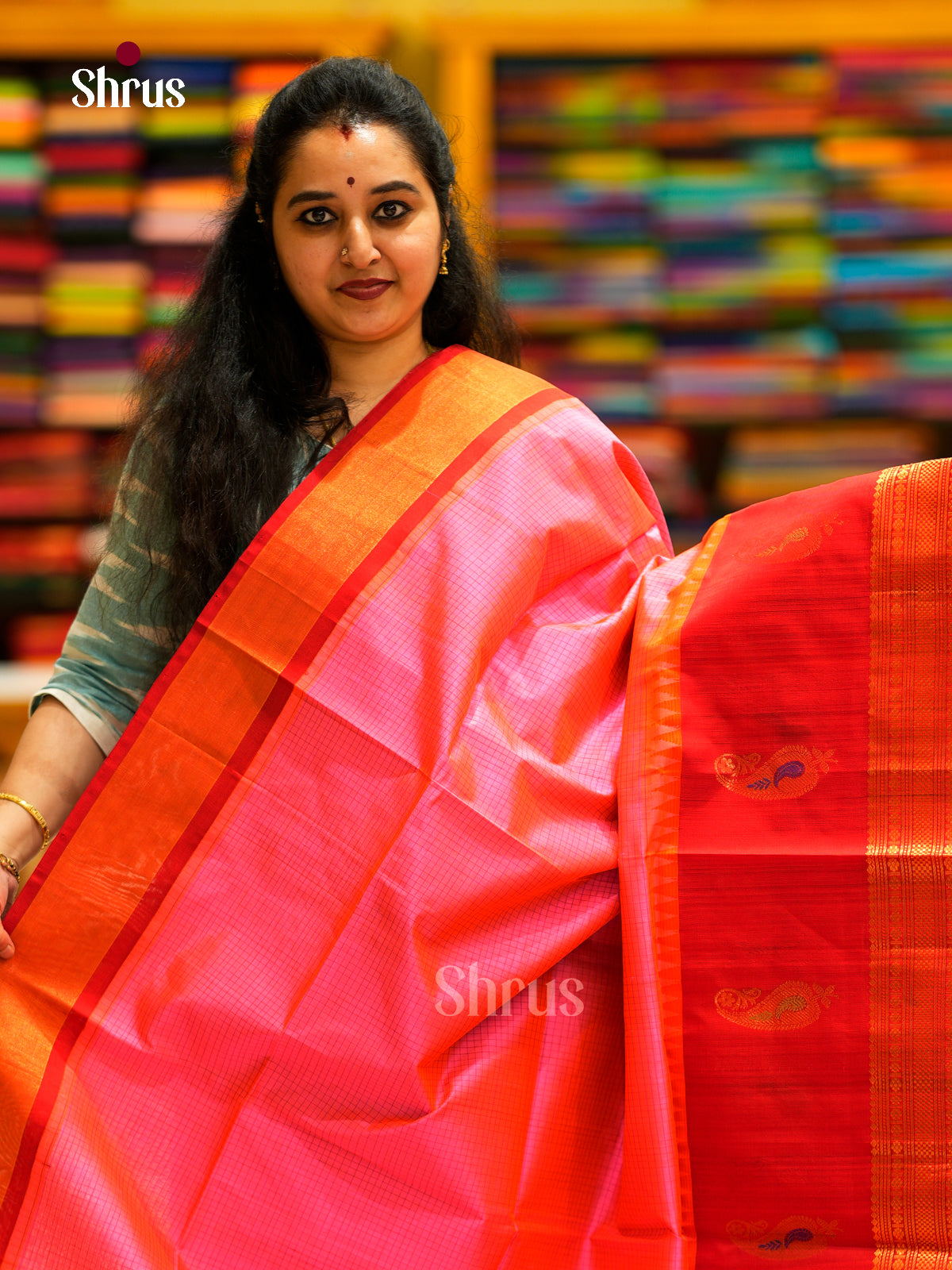 Silk Cotton Saree - EDS29013 - Shop on Shrus.com
