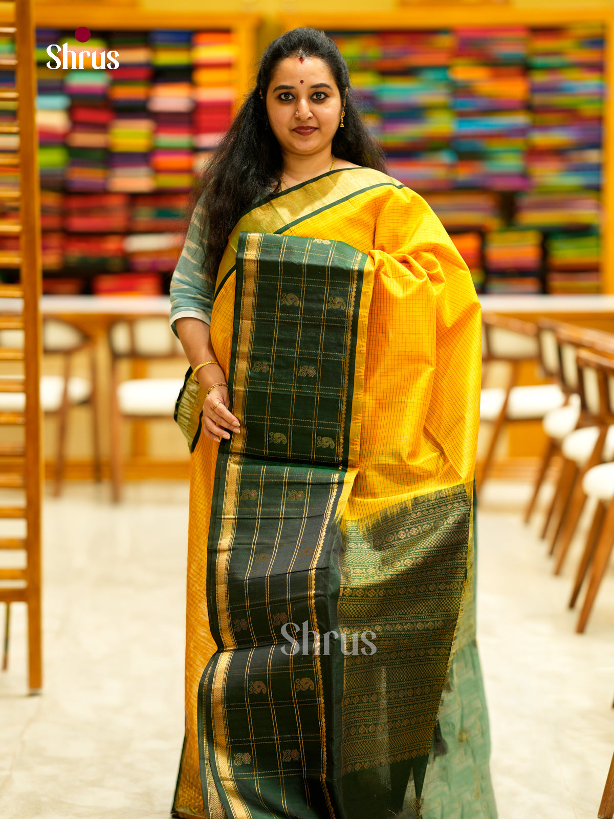 Silk Cotton Saree - EDS29019 - Shop on Shrus.com