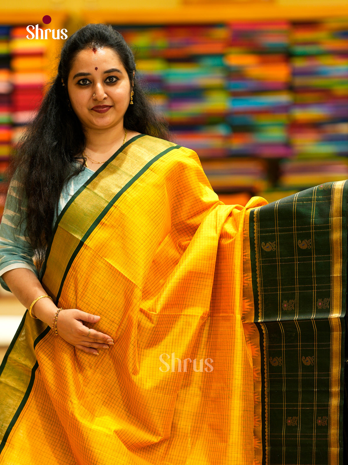 Silk Cotton Saree - EDS29019 - Shop on Shrus.com