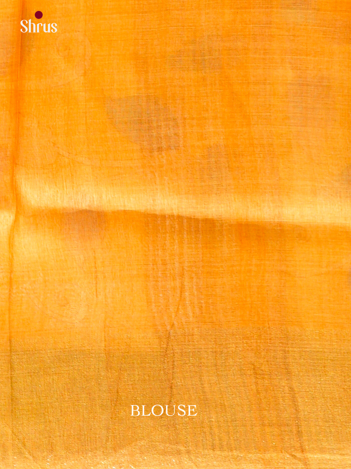 Tussar Saree - EDS29038 - Shop on Shrus.com