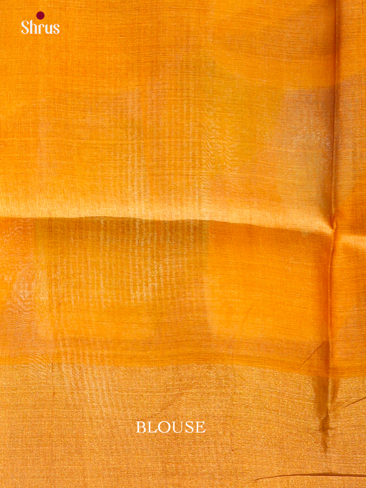 Tussar Saree - EDS29081 - Shop on Shrus.com