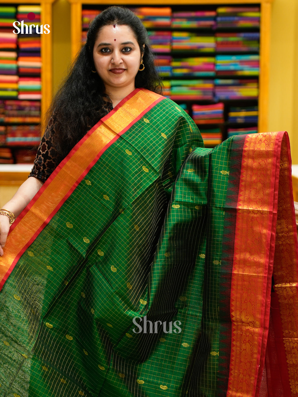 Silk Cotton Saree - EES04003