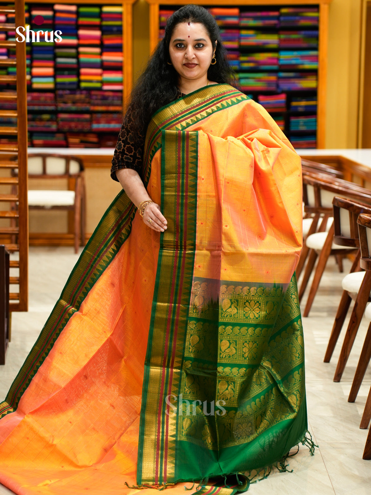 Silk Cotton Saree - EES04006 - Shop on Shrus.com