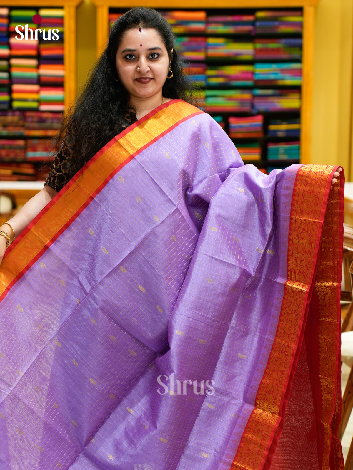 Silk Cotton Saree - EES04012