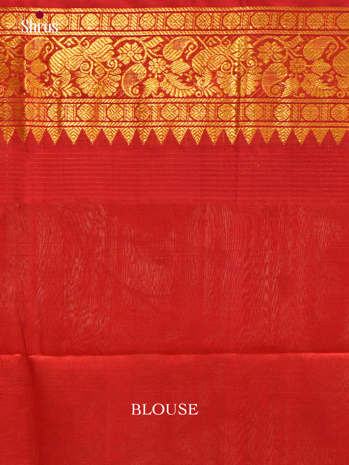 Silk Cotton Saree - EES04012