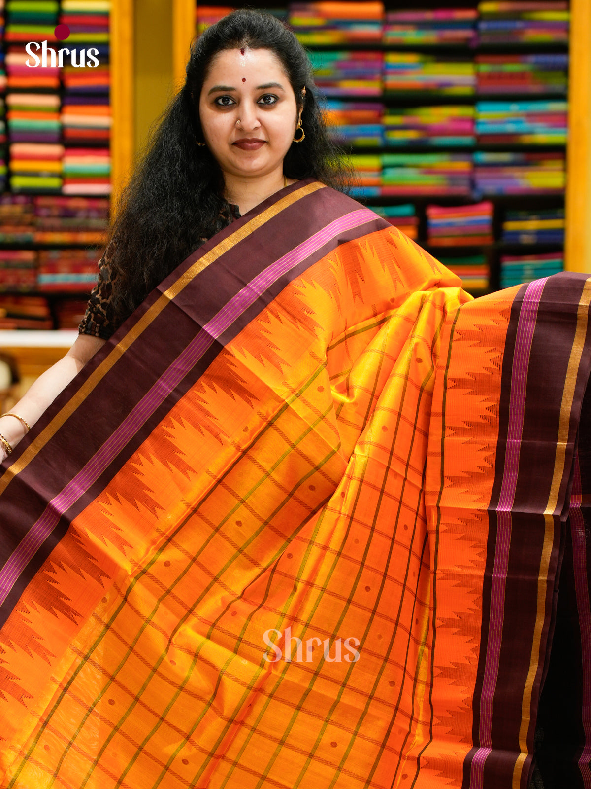 Silk Cotton Saree - EES04025