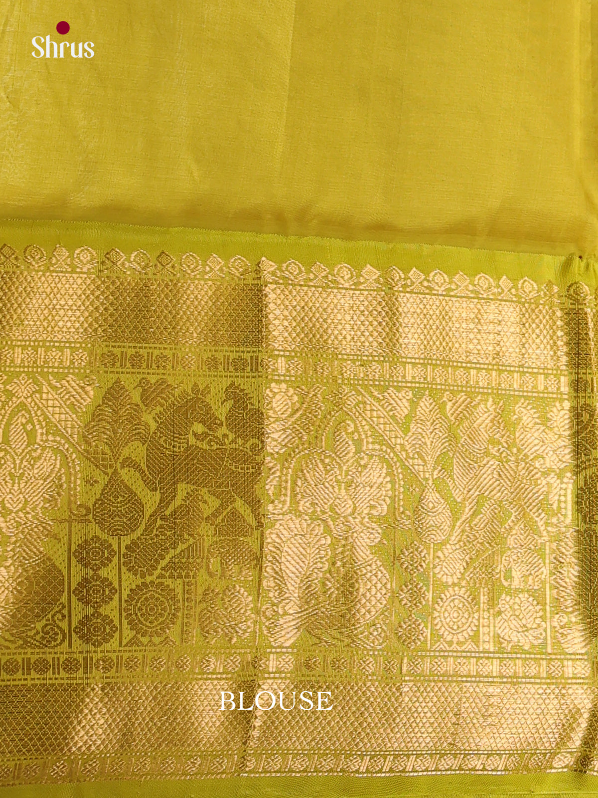 Silk Cotton Saree - EES08063 - Shop on Shrus.com