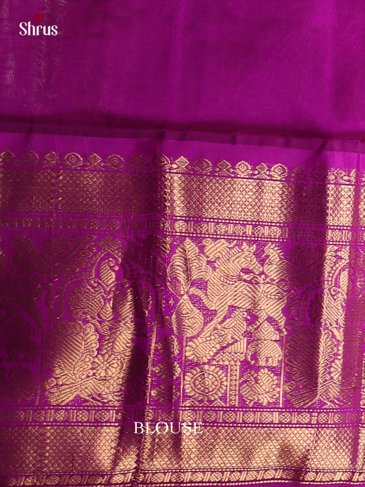 Silk Cotton Saree - EES08067 - Shop on Shrus.com