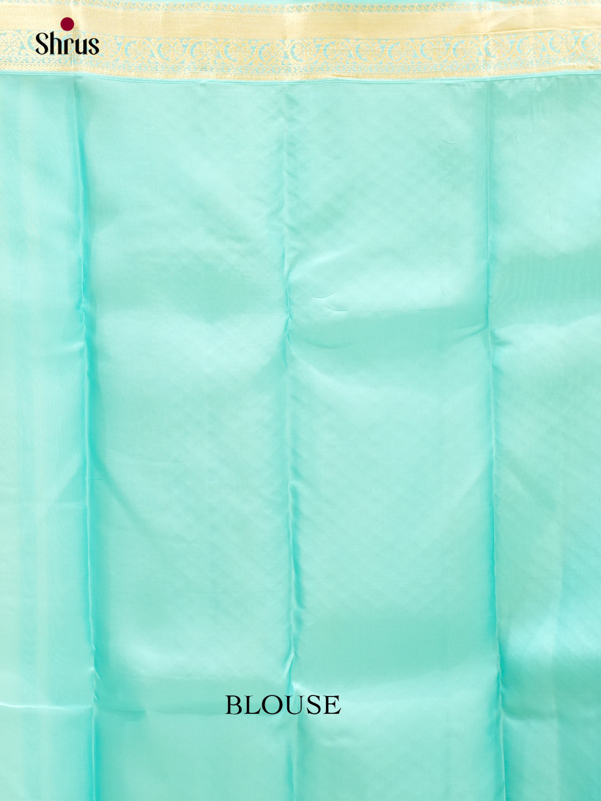 Kanchipuram-halfpure Saree - EES11043 - Shop on Shrus.com