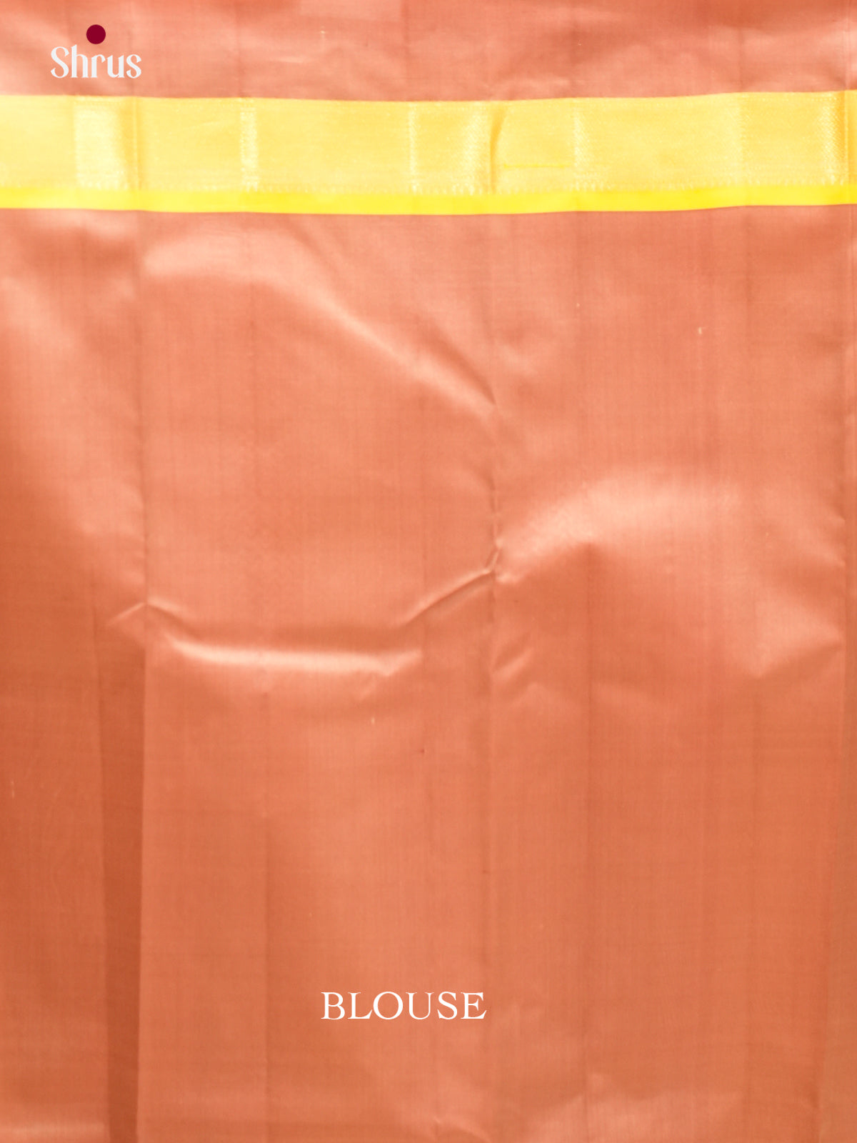 Kanchipuram silk Saree - EES11243 - Shop on Shrus.com