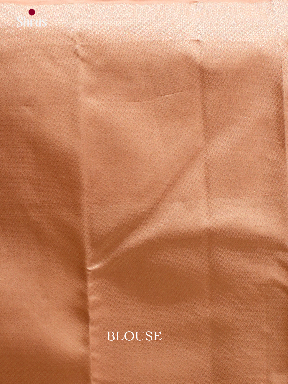 Kanchipuram silk Saree - EES12217 - Shop on Shrus.com