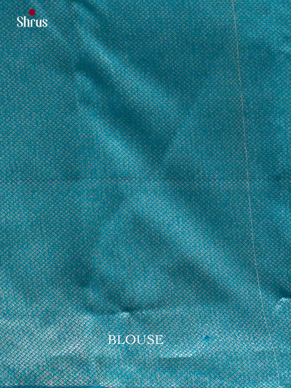 Kanchipuram silk Saree - EES12222 - Shop on Shrus.com