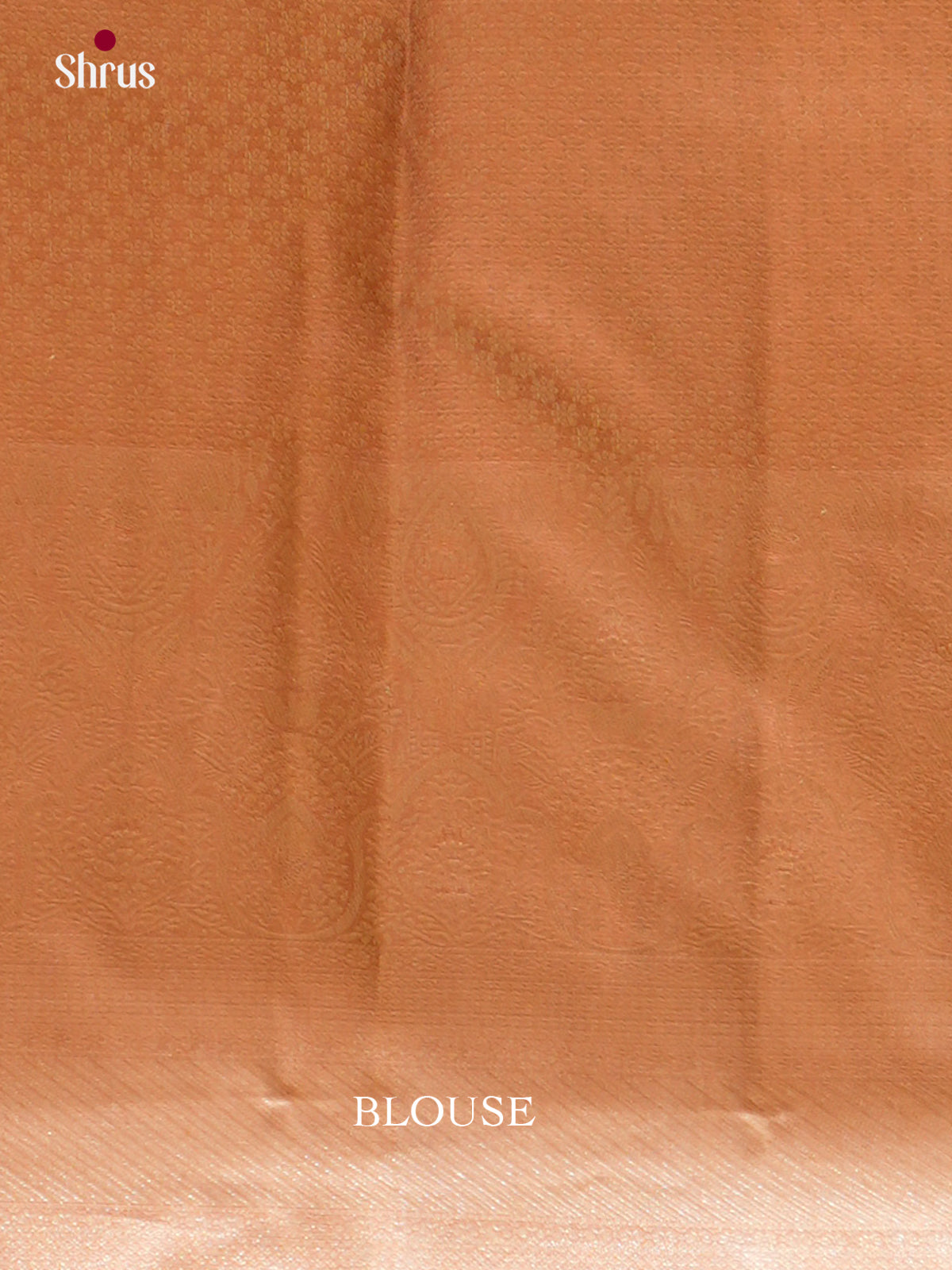 Kanchipuram silk Saree - EES12225 - Shop on Shrus.com