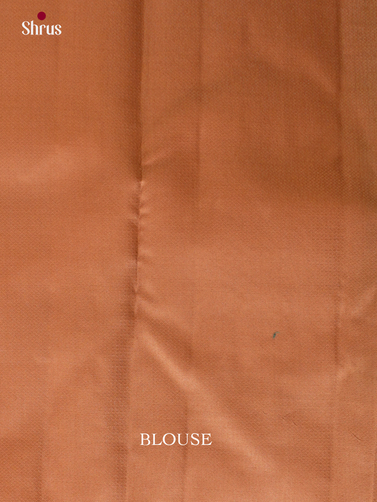 Kanchipuram silk Saree - EES12230 - Shop on Shrus.com