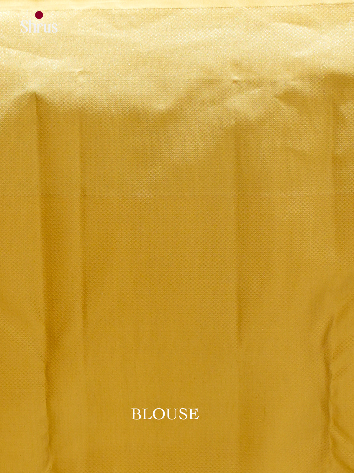 Kanchipuram silk Saree - EES12237 - Shop on Shrus.com