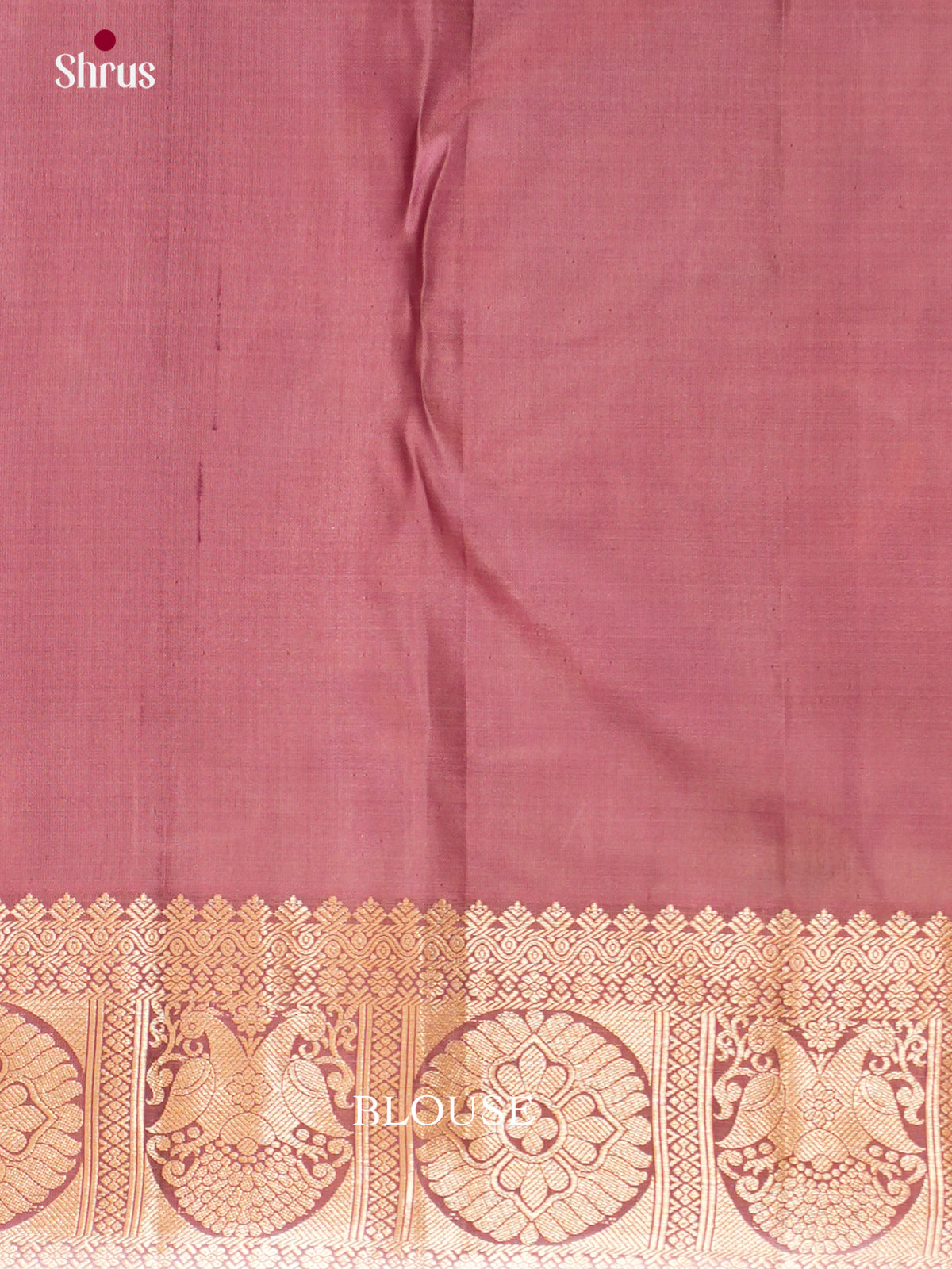 Kanchipuram silk Saree - EES12266 - Shop on Shrus.com