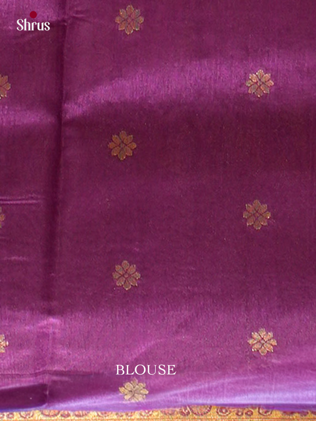 Bamboo silk Saree - EES23001