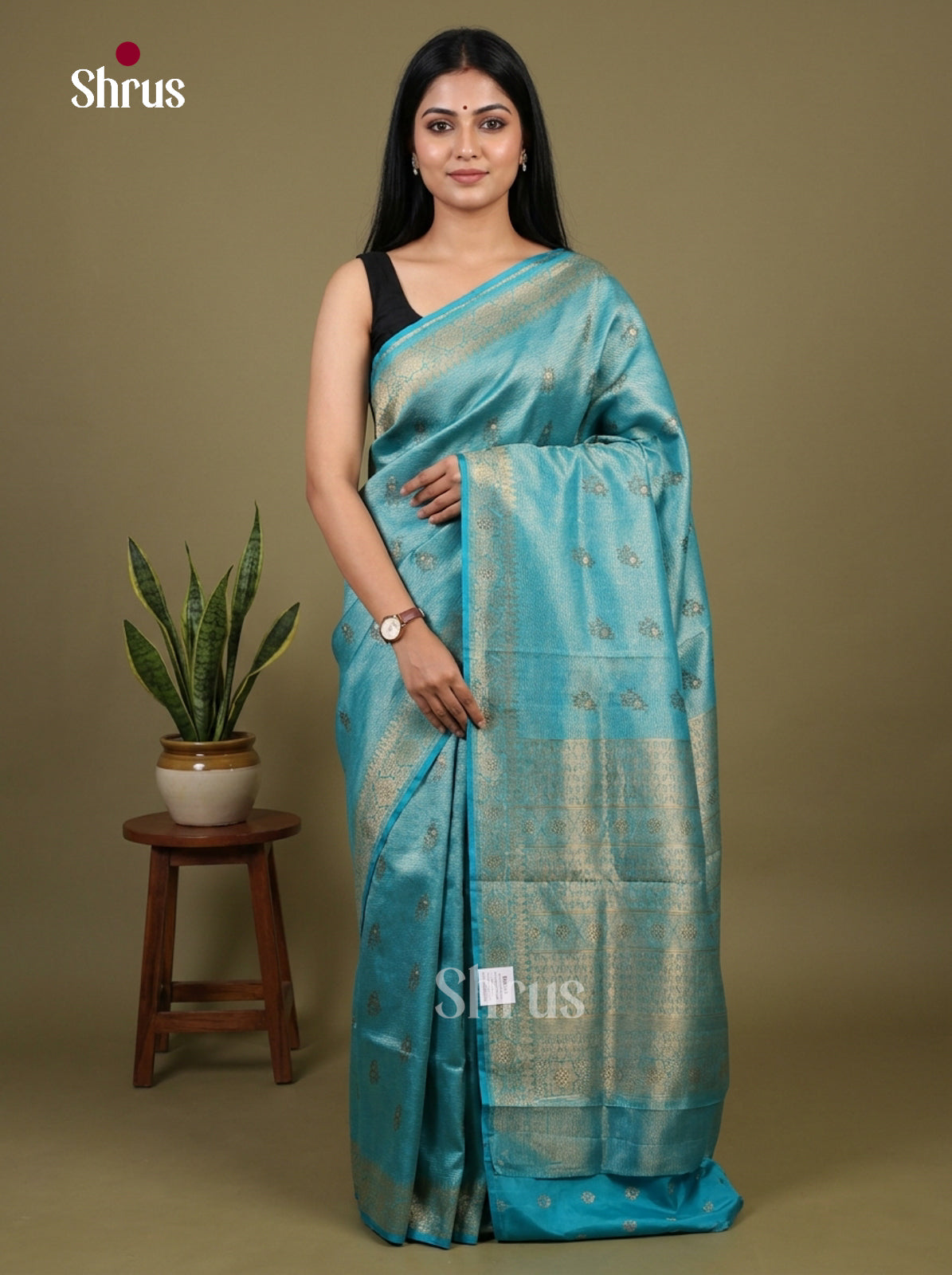 Bamboo silk Saree - EES23002
