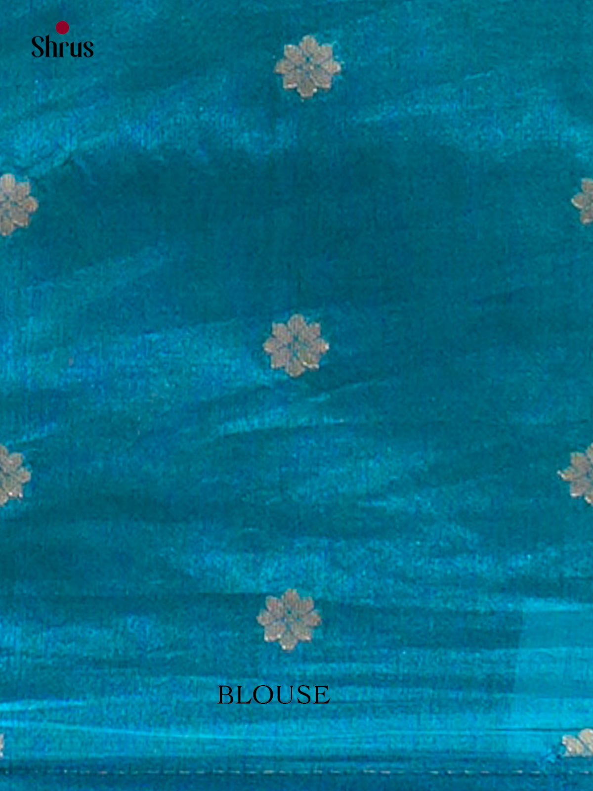 Bamboo silk Saree - EES23003