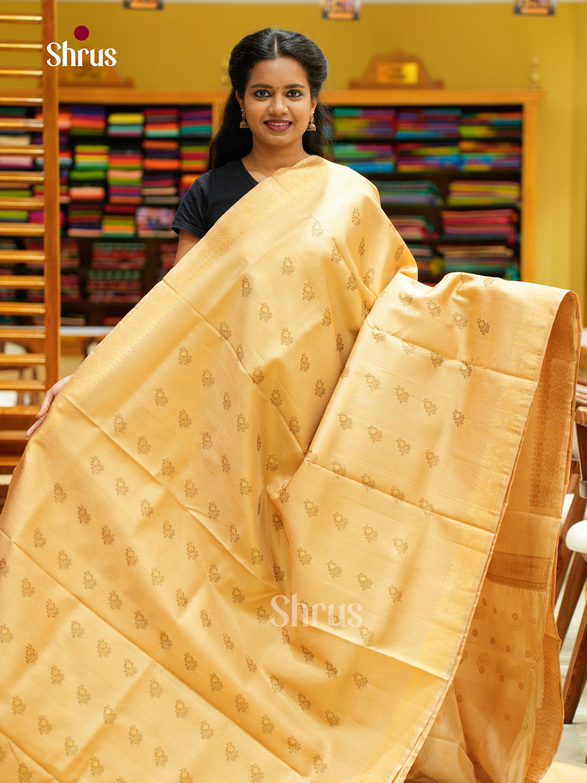 Bamboo silk Saree - EES23007 - Shop on Shrus.com
