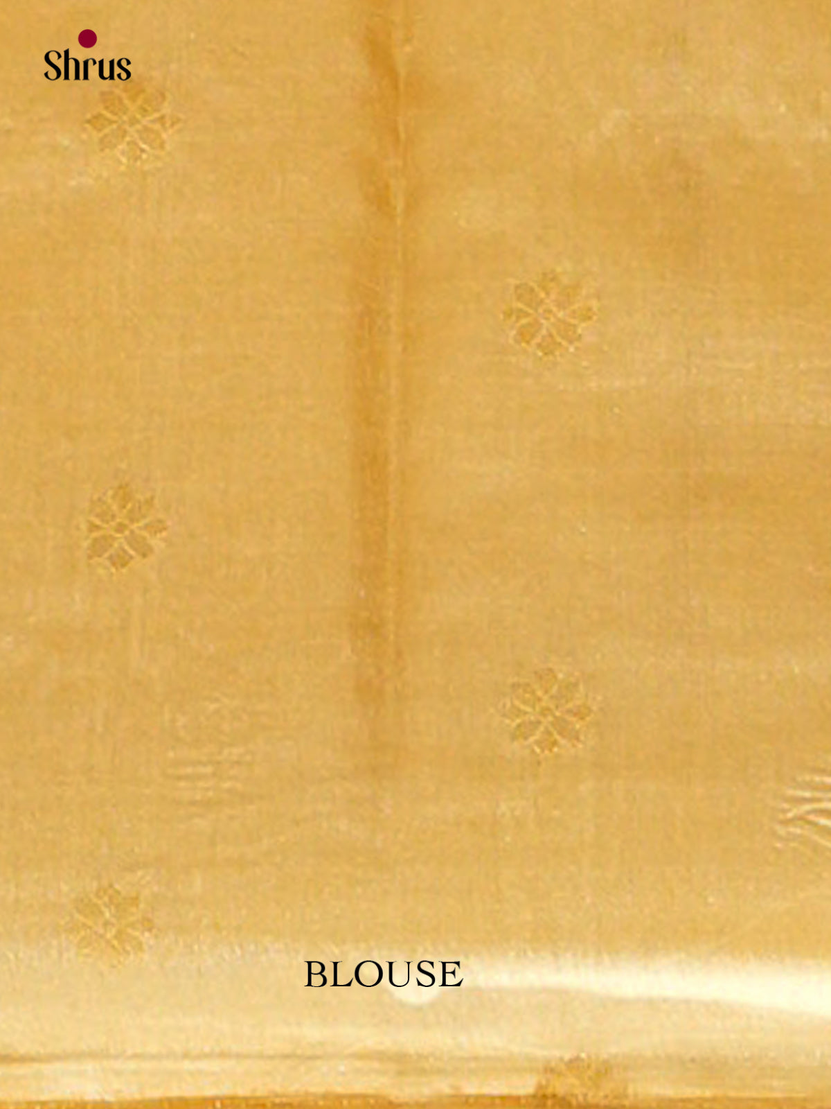 Bamboo silk Saree - EES23007 - Shop on Shrus.com