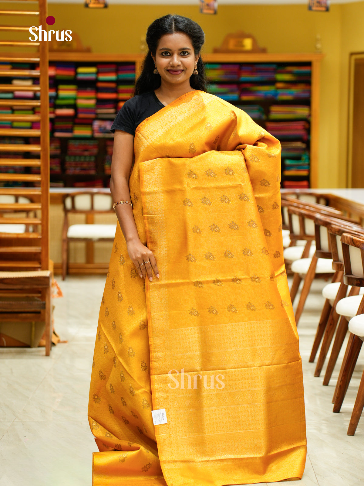 Bamboo silk Saree - EES23010 - Shop on Shrus.com