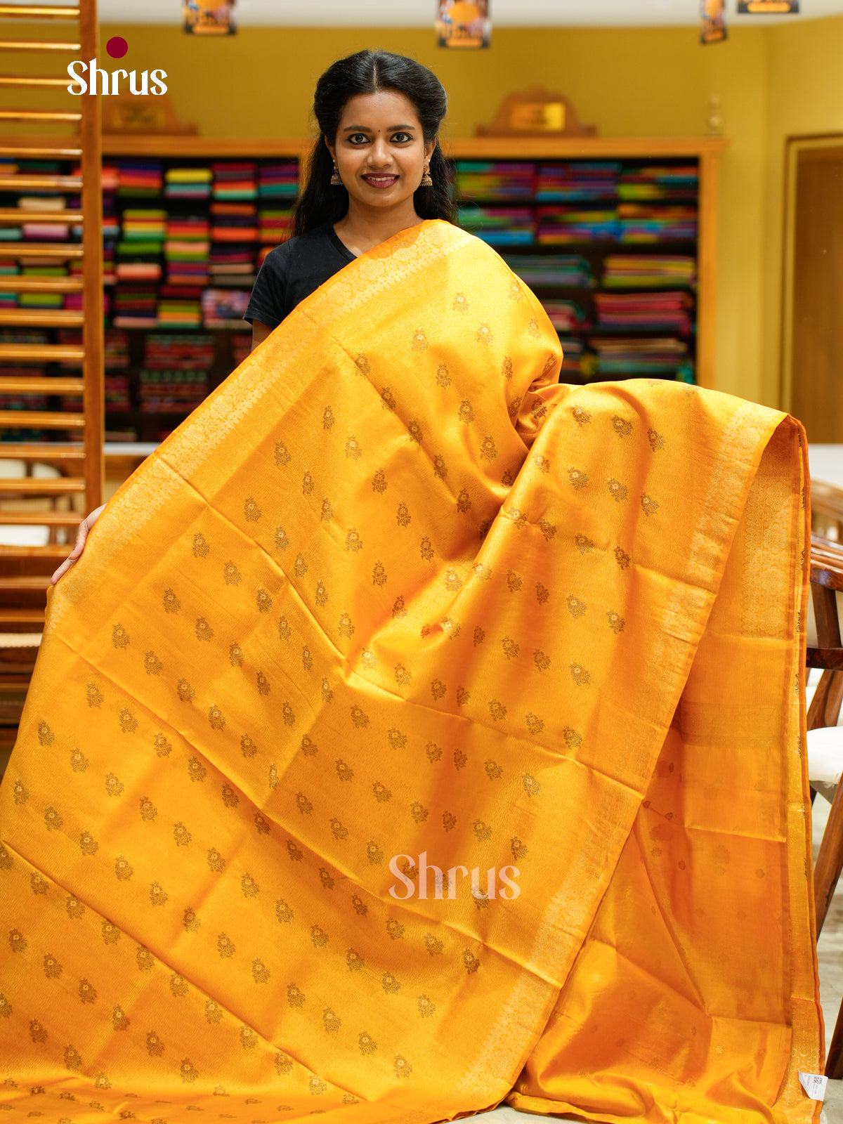 Bamboo silk Saree - EES23010 - Shop on Shrus.com