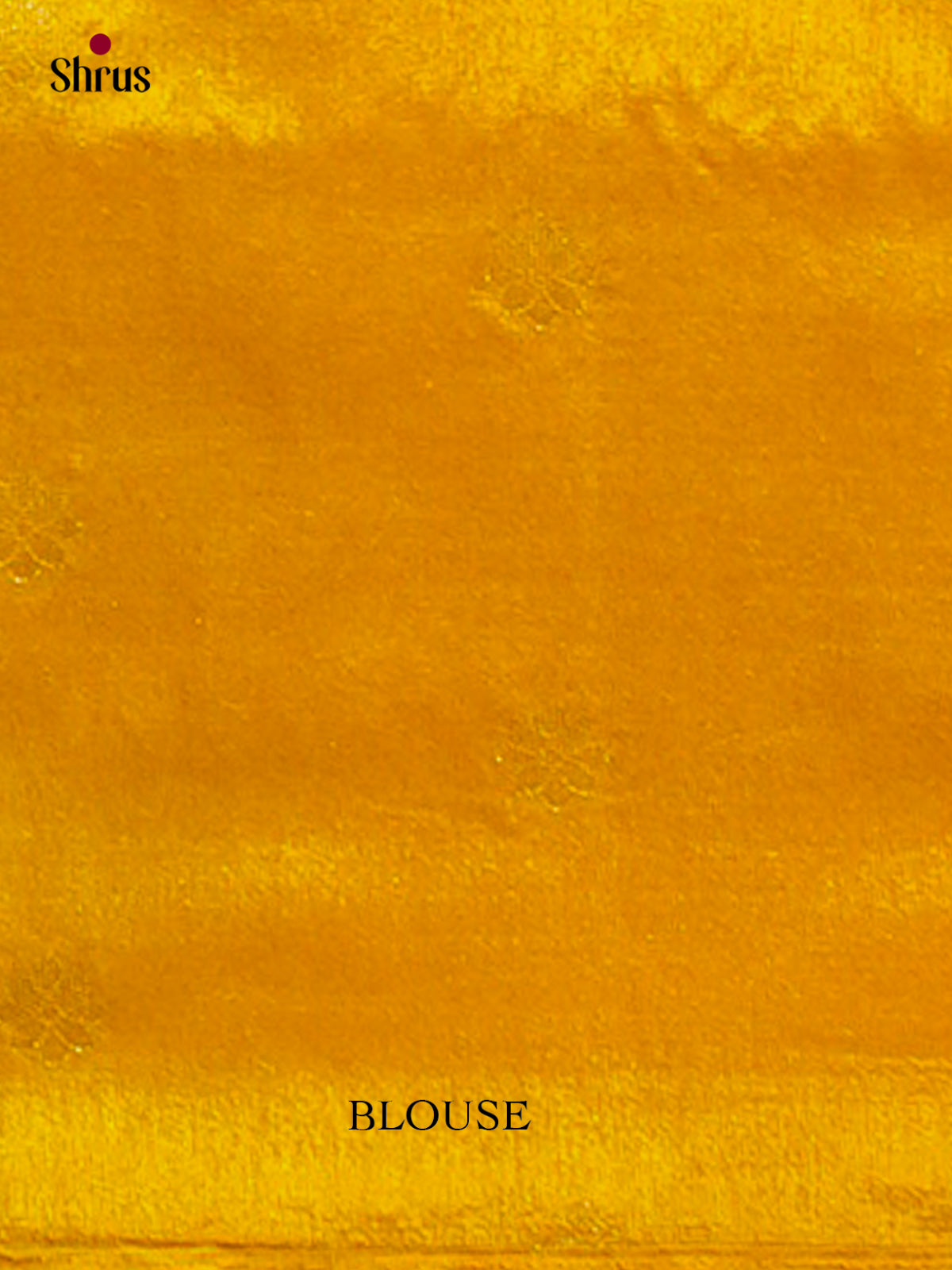Bamboo silk Saree - EES23010 - Shop on Shrus.com