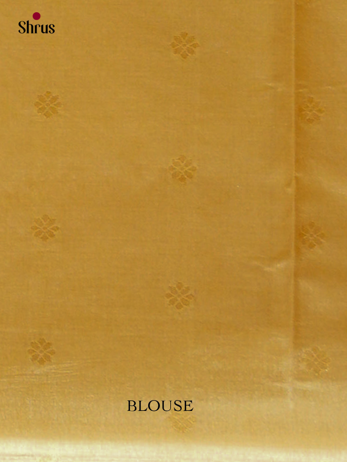 Bamboo silk Saree - EES23026 - Shop on Shrus.com