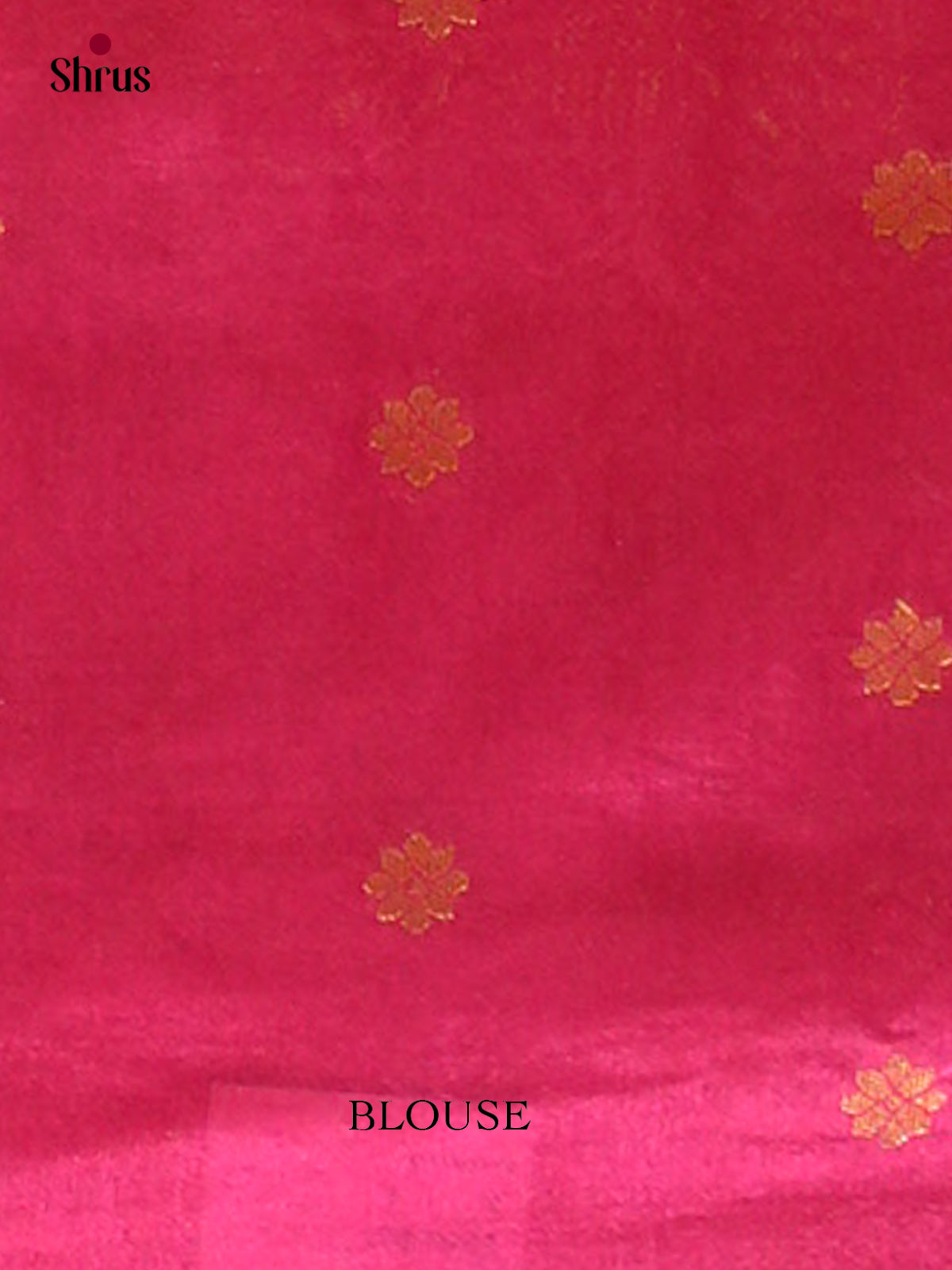 Bamboo silk Saree - EES23027