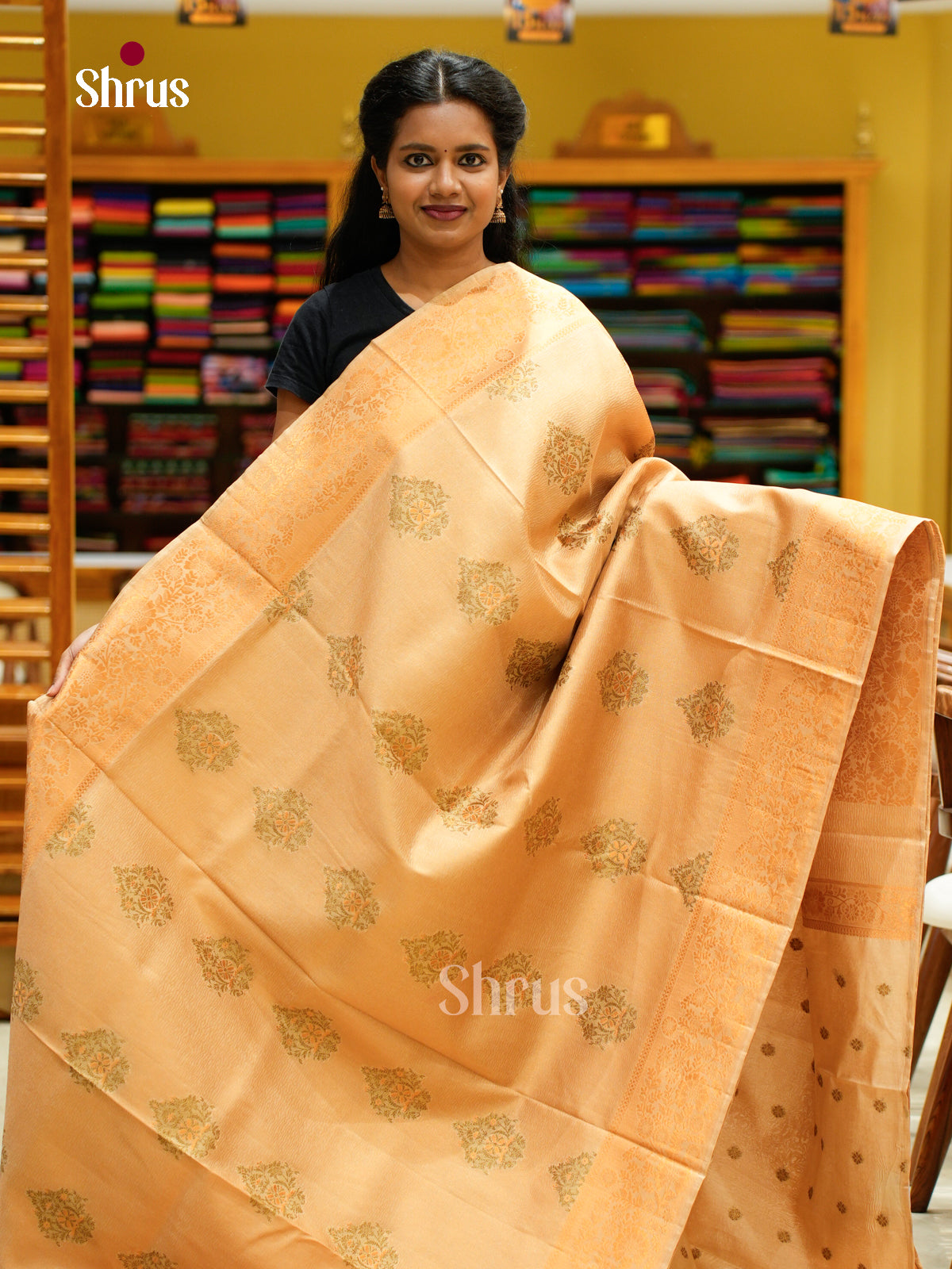 Bamboo silk Saree - EES23032 - Shop on Shrus.com