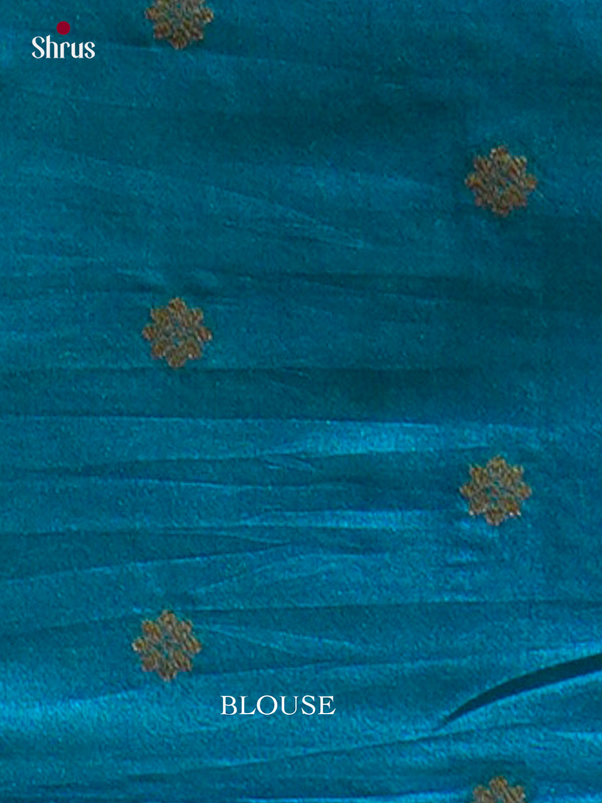 Bamboo silk Saree - EES23034 - Shop on Shrus.com