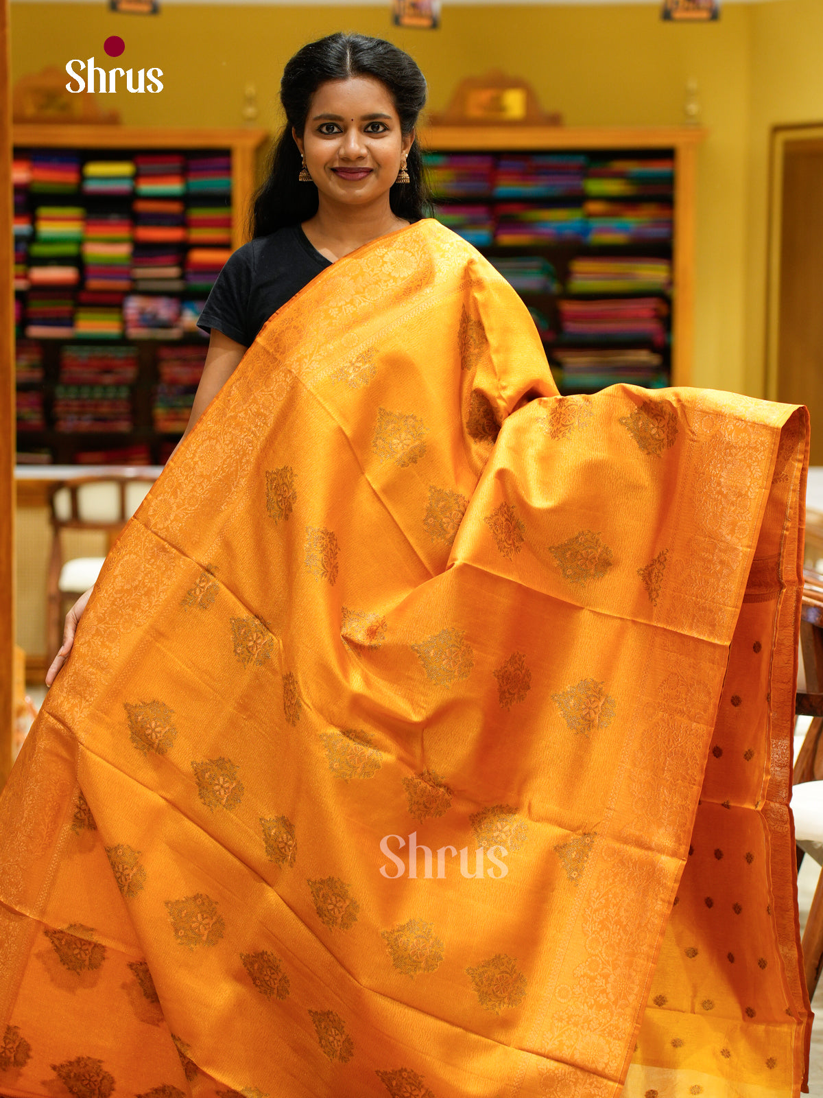 Bamboo silk Saree - EES23035 - Shop on Shrus.com