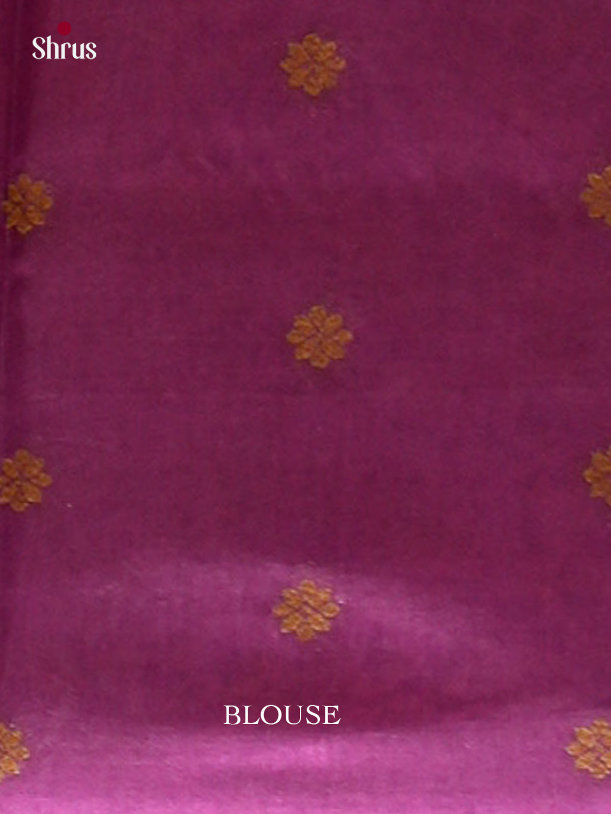 Bamboo silk Saree - EES23036 - Shop on Shrus.com