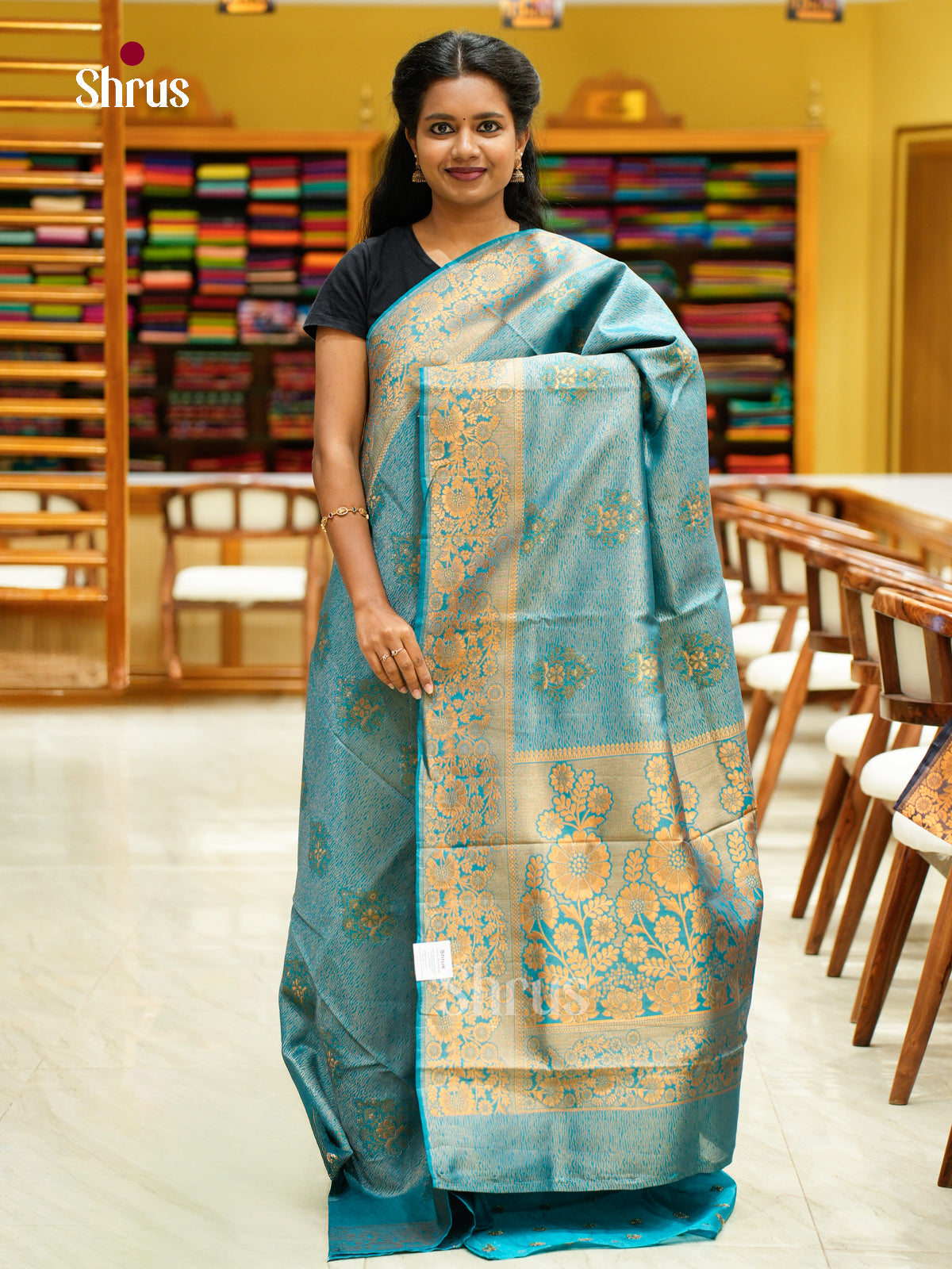 Bamboo silk Saree - EES23041 - Shop on Shrus.com